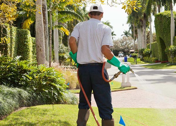 About Big Pine CA Pest Control